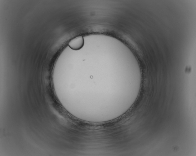 X0000093520683200710121128
