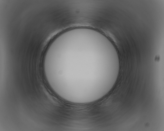 X0000093520684200710121128