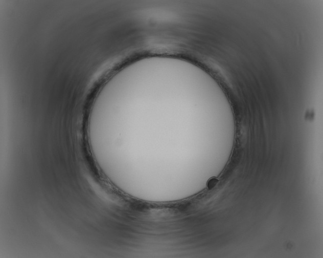 X0000093520686200710121128