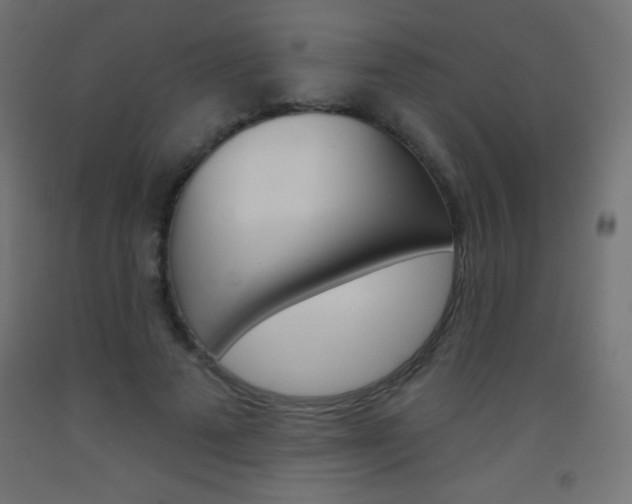 X0000093520689200710121128