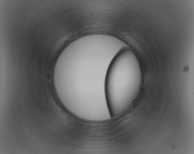 X0000093520693200710121128