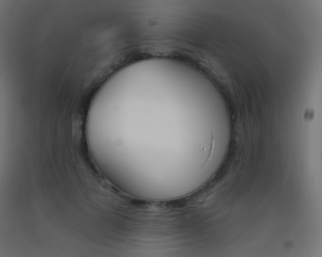 X0000093520697200710121128