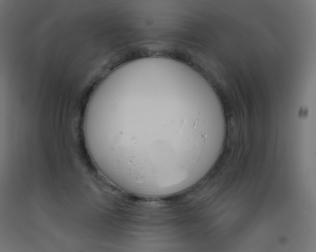 X0000093520698200710121128