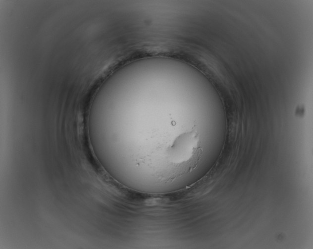 X0000093520700200710121128