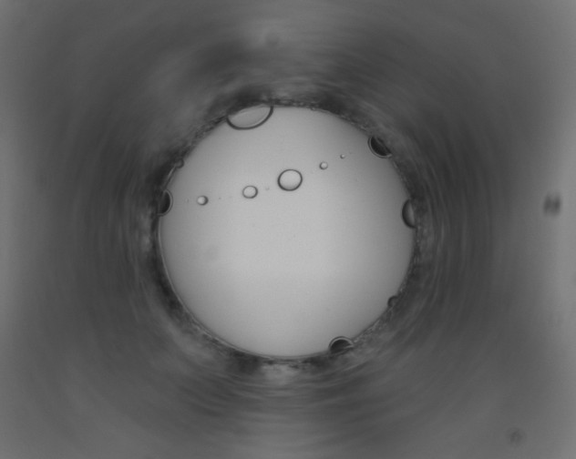 X0000093520703200710121128