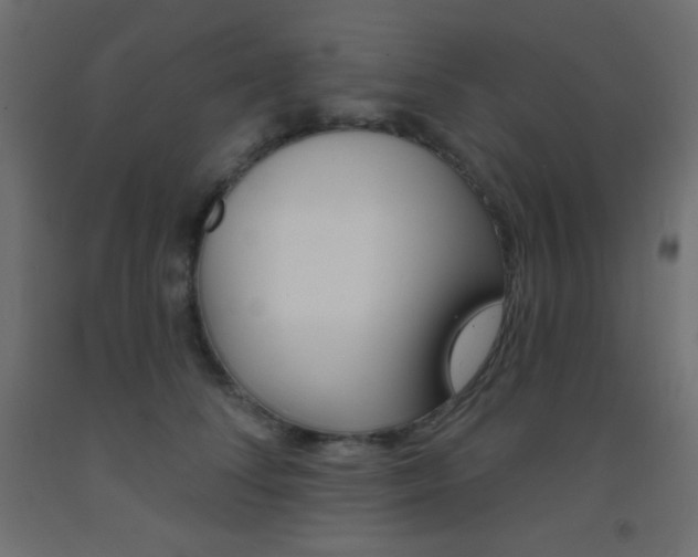X0000093520708200710121128