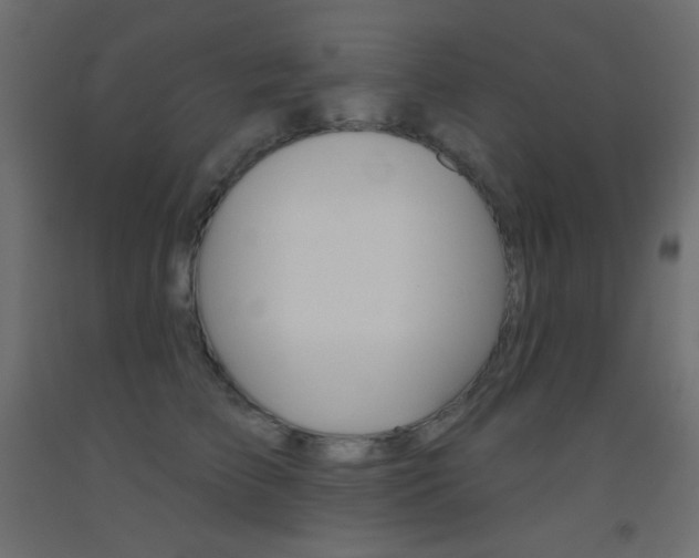 X0000093520709200710121128