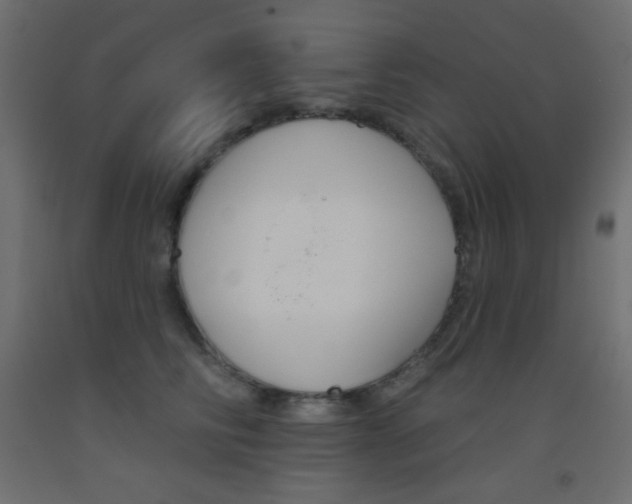 X0000093520710200710121128