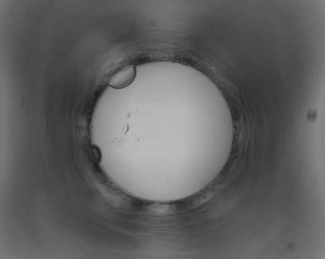 X0000093520711200710121128