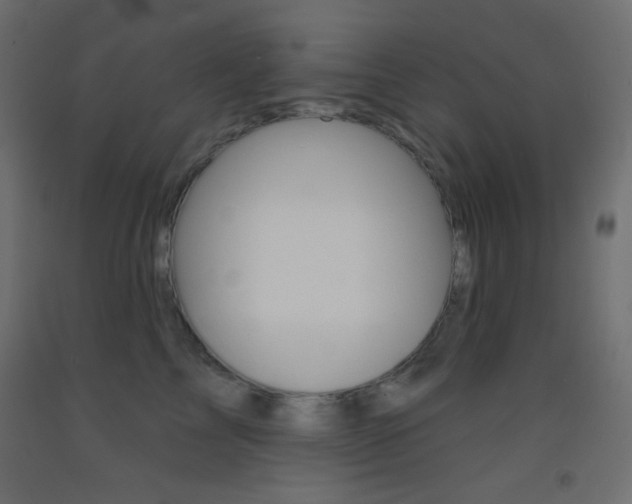 X0000093520713200710121128