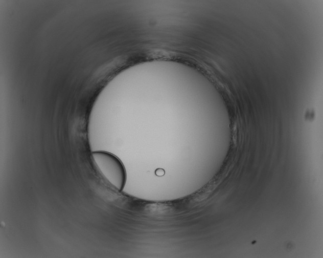 X0000093520714200710121128