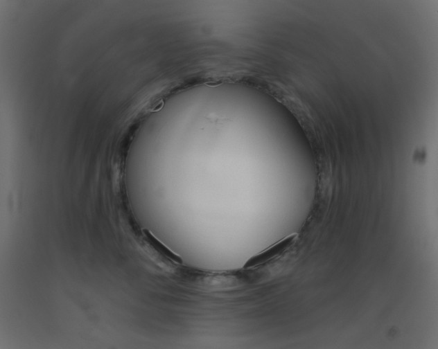 X0000093520716200710121128