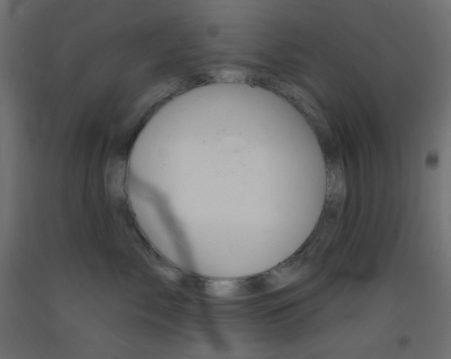X0000093520717200710121128