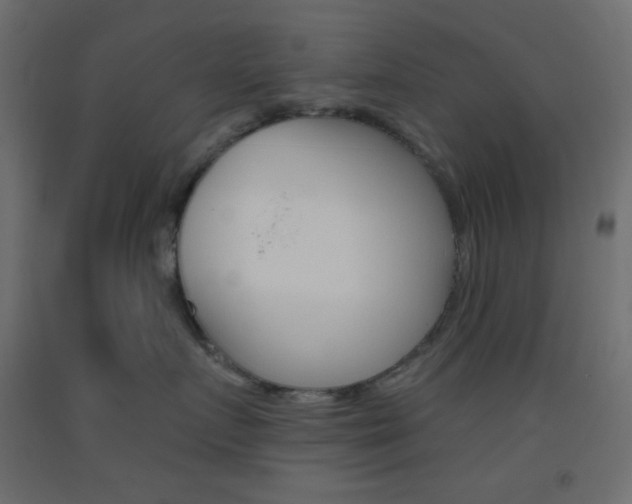X0000093520719200710121128