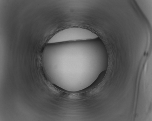 X0000093520720200710121128
