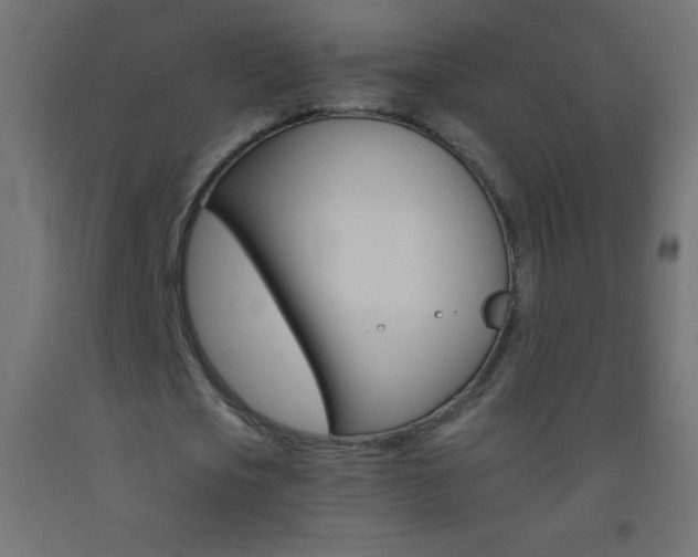 X0000093520721200710121127