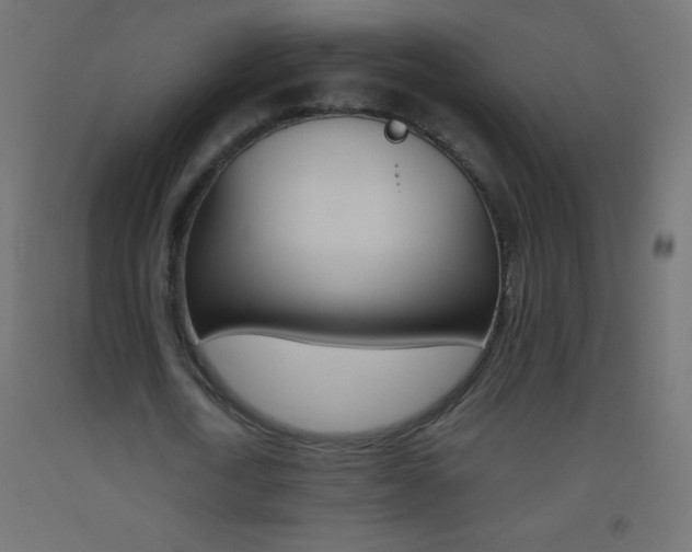 X0000093520722200710121127