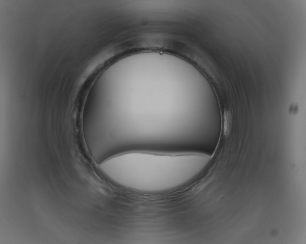 X0000093520723200710121127