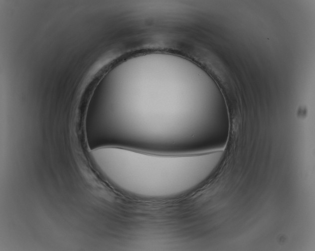 X0000093520724200710121127