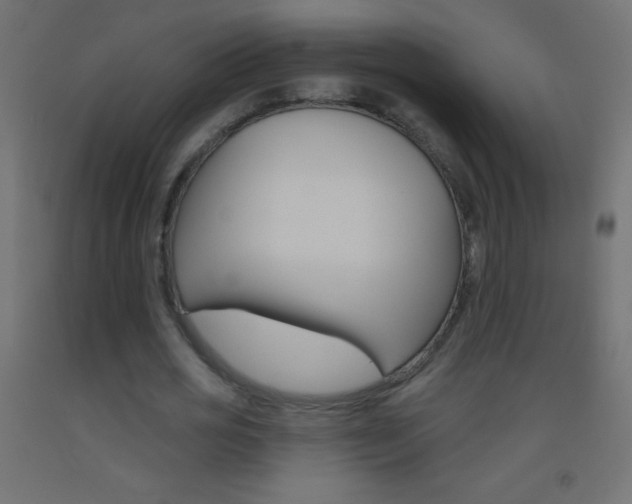 X0000093520725200710121127