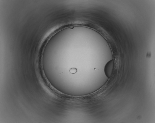 X0000093520726200710121127