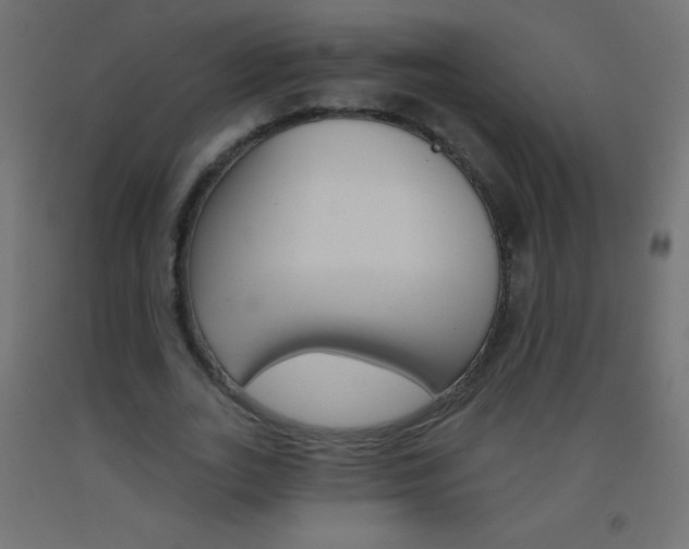 X0000093520727200710121127