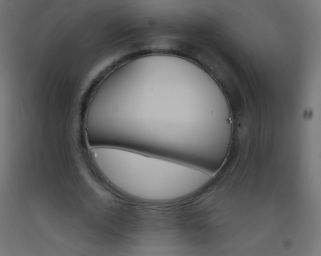 X0000093520728200710121127