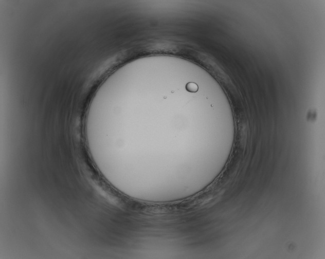 X0000093520729200710121127