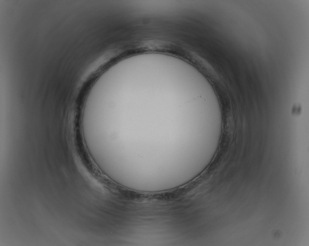 X0000093520730200710121127