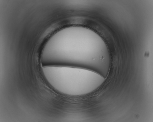 X0000093520731200710121127