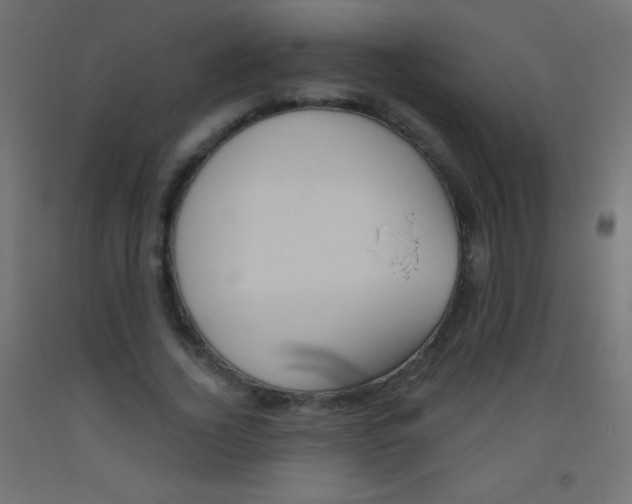 X0000093520732200710121127