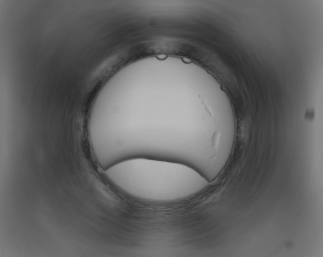 X0000093520733200710121127
