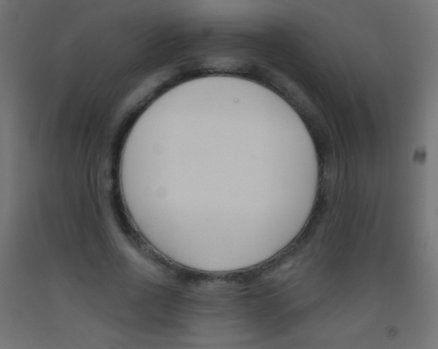 X0000093520734200710121127