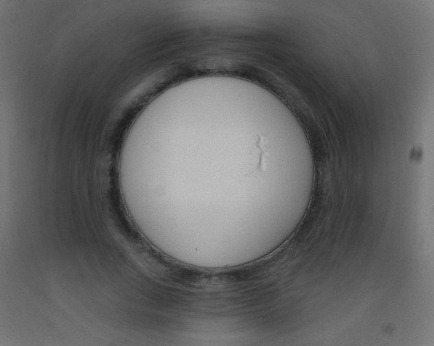 X0000093520735200710121127