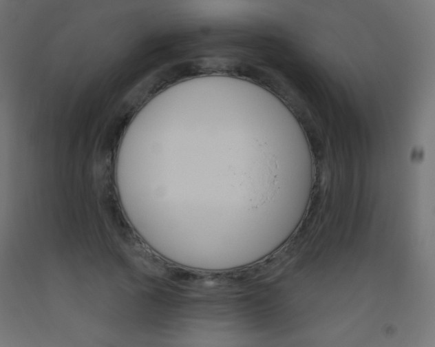 X0000093520737200710121127