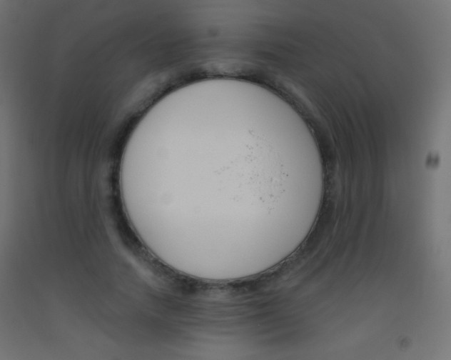 X0000093520738200710121127