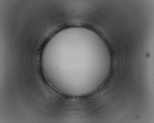 X0000093520739200710121127