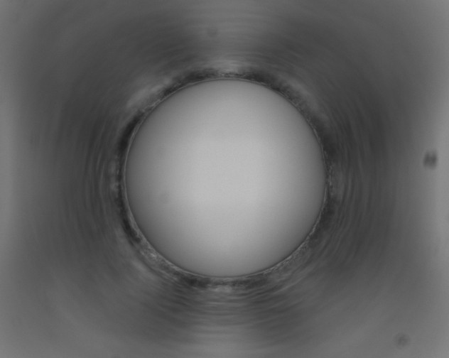X0000093520740200710121127