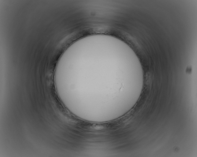X0000093520741200710121127