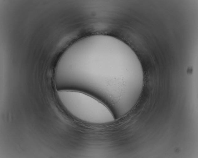 X0000093520742200710121127