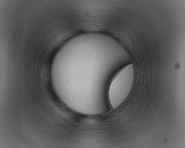 X0000093520743200710121127