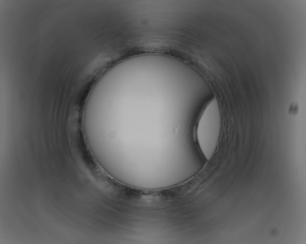 X0000093520744200710121127