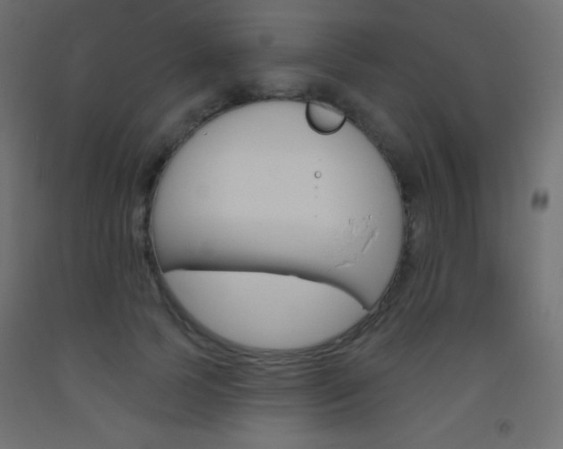X0000093520745200710121127