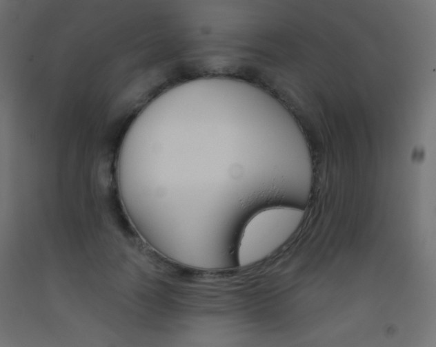 X0000093520746200710121127