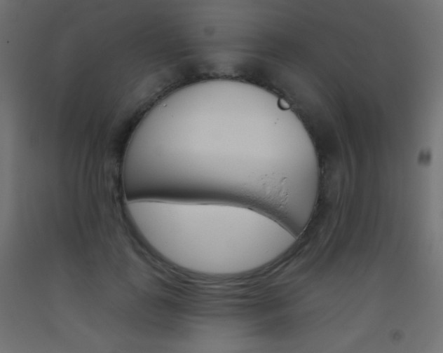 X0000093520747200710121127