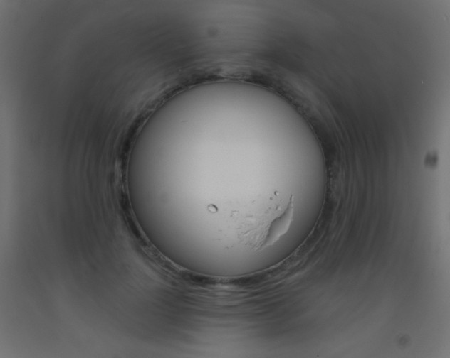 X0000093520748200710121127