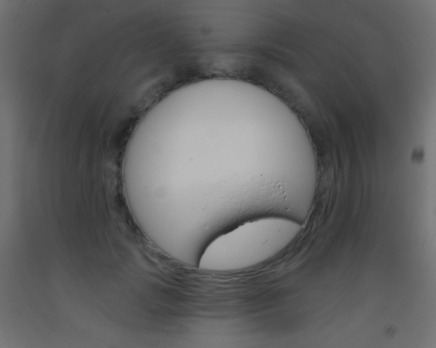 X0000093520749200710121127
