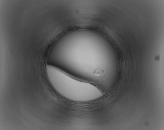 X0000093520750200710121127