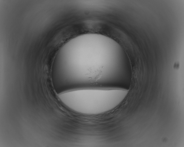 X0000093520752200710121127