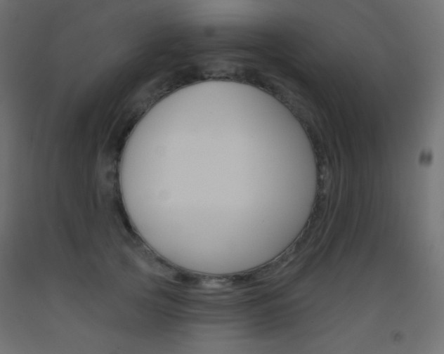 X0000093520753200710121127